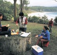 Fortescue Bay Camping Ground - Tourism Cairns