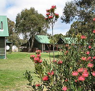 Derwent Bridge Chalets and Studios - Tourism Cairns