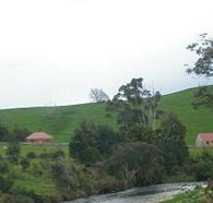 Tin Dragon Trail Cottages - Tourism Cairns