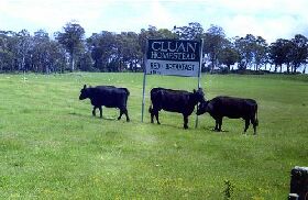 Cluan Homestead - The Managers Residence - Tourism Cairns 0