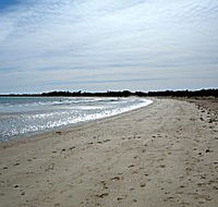 Greens Beach Caravan Park - Tourism Cairns