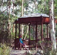 Telopea - Tourism Cairns