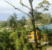 Partridge Farm - Tourism Cairns