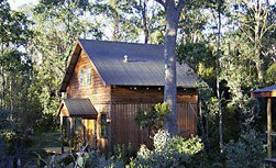 Cradle Mountain Highlanders - Tourism Cairns 1