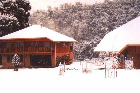 Stringy Bark Holiday Accommodation - Tourism Cairns 1