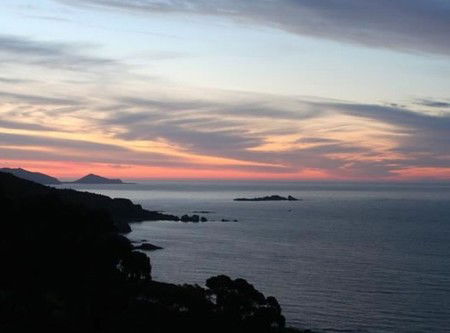 Paradise House - Tourism Cairns 4