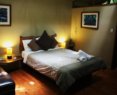 Daintree Wilderness Lodge - Tourism Cairns 2