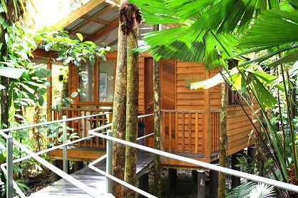 Daintree Wilderness Lodge - Tourism Cairns 3