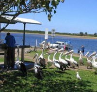 Mountain View Caravan and Mobile Home Village - Tourism Cairns