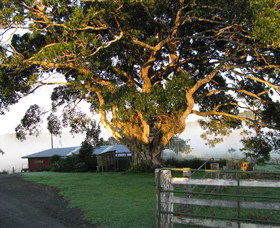 Arley Farm, The Old Dairy - Tourism Cairns 0