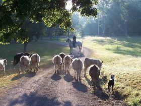 Brooloo Park - Tourism Cairns 0