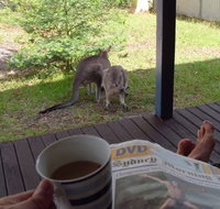 Bush and Bay Cottage - Tourism Cairns