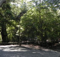 Booderee National Park Green Patch camping area - Tourism Cairns
