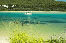 Wooli Camping and Caravan Park - Tourism Cairns