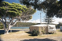 Wooli Camping And Caravan Park - thumb 2