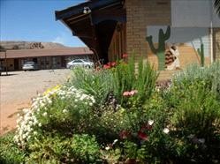 Silver Spade Motel - Tourism Cairns 3