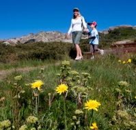 Horizons Apartment 407 - Tourism Cairns