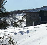 Barina Milpara Lodge - Tourism Cairns