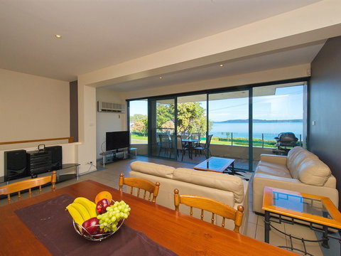 Dolphins - Tourism Cairns 1