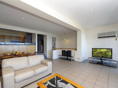 Dolphins - Tourism Cairns 3