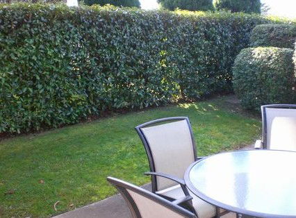 Boronia Lodge Apartments - Tourism Cairns 3