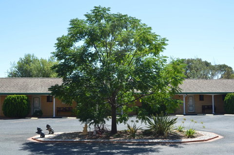 Hilltops Retreat Motor Inn - Tourism Cairns 6