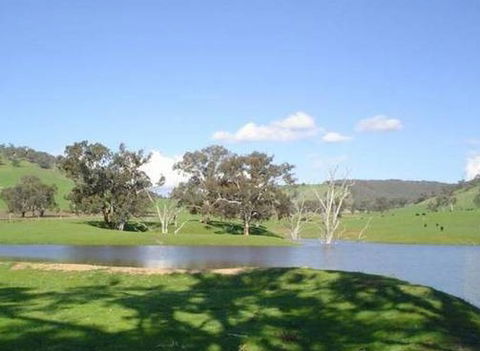 Hillview Farmstay - Tourism Cairns 0