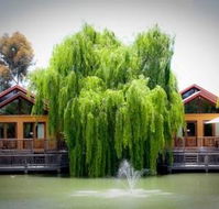 Perricoota Vines Retreat - Tourism Cairns