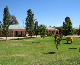 Narrandera Caravan Park - Tourism Cairns 0