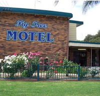 Fig Tree Motel - Tourism Cairns