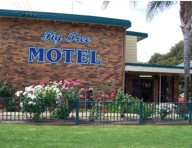 Fig Tree Motel - Tourism Cairns 0