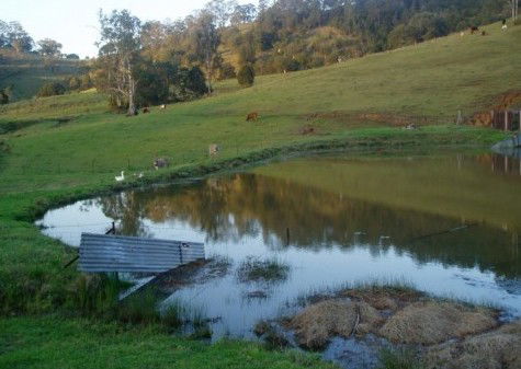 Barkeldine Farm Country Retreat - Tourism Cairns 0