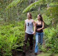 Blackheath Glen Tourist Park - Tourism Cairns