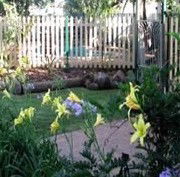 Flora Alba Cottage And Jacaranda On Pallas - Tourism Cairns 2