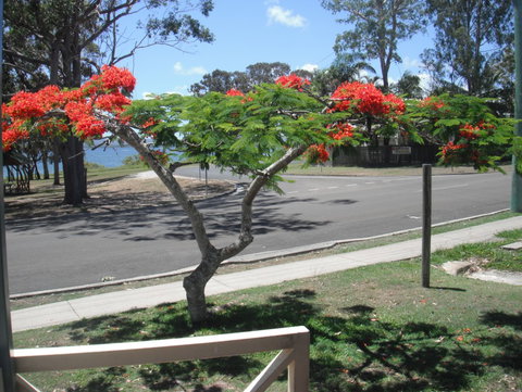 Kingfisher Caravan Park - Tourism Cairns 4