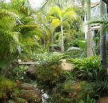 Chamomile Bed and Breakfast - Tourism Cairns