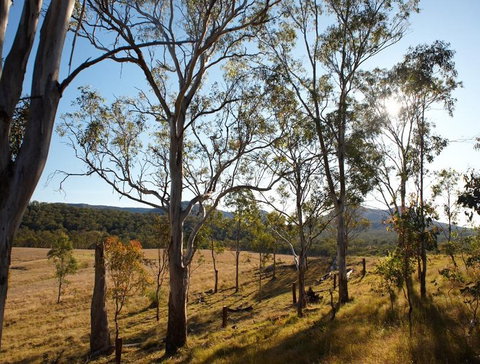 Spicers Canopy - Tourism Cairns 4