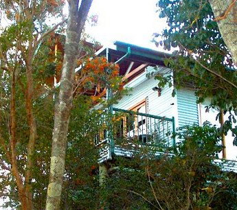 Worendo Cottages - Tourism Cairns 1