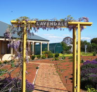 Lavendale Farmstay and Cottages - Tourism Cairns