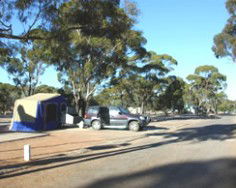 Gateway Caravan Park - Tourism Cairns 4