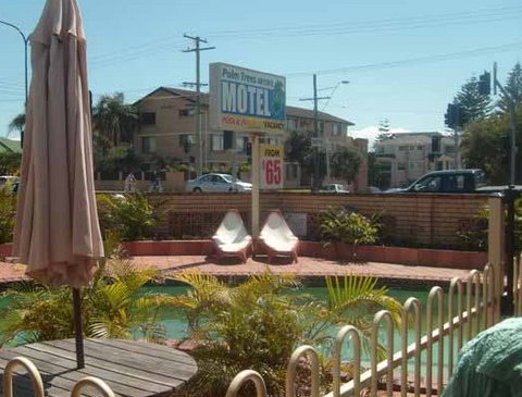 Palm Trees Motel - Tourism Cairns 1