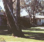 Winbi River Resort - Tourism Cairns