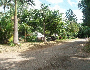 Cape Hillsborough Nature Resort - Tourism Cairns 4