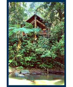 The Canopy Treehouses - Tourism Cairns 1