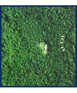 The Canopy Treehouses - Tourism Cairns 2