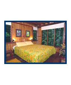 The Canopy Treehouses - Tourism Cairns 3