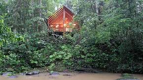 The Canopy Treehouses - Tourism Cairns 5
