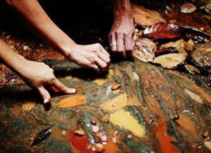Daintree Eco Lodge And Spa - Tourism Cairns 0