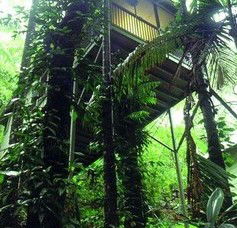 Daintree Eco Lodge And Spa - Tourism Cairns 1