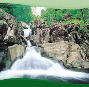 Bay Village Tropical Retreat, Cairns - Tourism Cairns 2